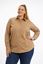Picture of CURVY GIRL ELEGANT SHIRT